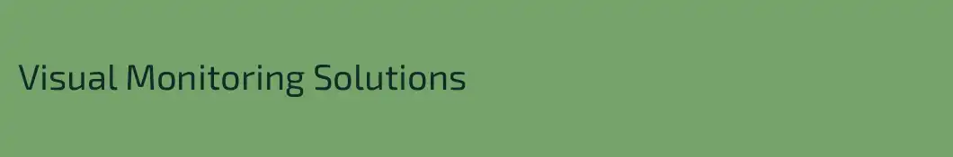 Visual Monitoring Solutions
